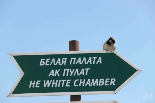 Татарстан халкын Бөтенроссия чыпчыклар исәбен алуда катнашырга чакыралар