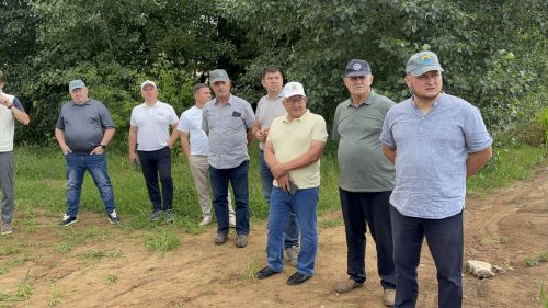Кукмара районы хуҗалыкларында иген кырларының торышы тикшерелде
