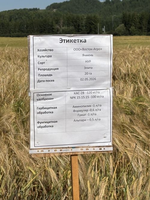 Кукмара районы хуҗалыкларында иген кырларының торышы тикшерелде