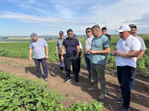 Кукмара районы хуҗалыкларында иген кырларының торышы тикшерелде