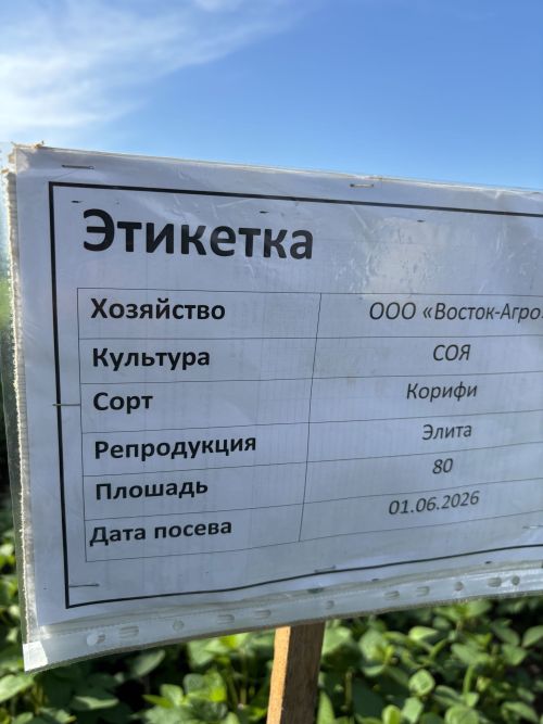 Кукмара районы хуҗалыкларында иген кырларының торышы тикшерелде