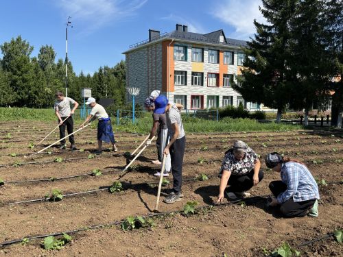 Кыярдан — керем, хезмәттән — тәрбия: Зур Сәрдек гимназиясендә тәҗрибә туплыйлар