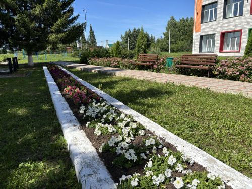 Кыярдан — керем, хезмәттән — тәрбия: Зур Сәрдек гимназиясендә тәҗрибә туплыйлар