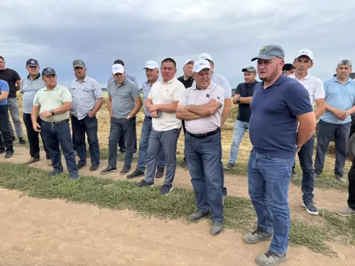 В «Асанбаш-Агро» рассчитывают получить высокий урожай и опробовать рапс