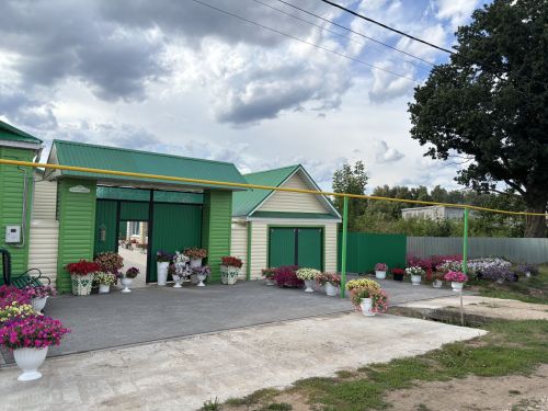 Матурлык тудыручы: Кукмара районыннан Гөлфия Билалова 200гә якын төрдәге гөл-чәчәк үстерә