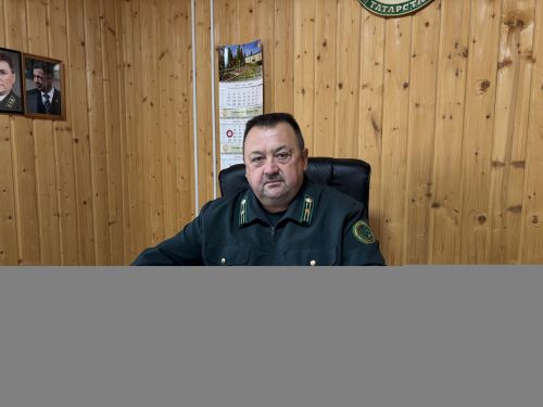 Лес начинается с одного дерева: о работе Кукморского лесничества