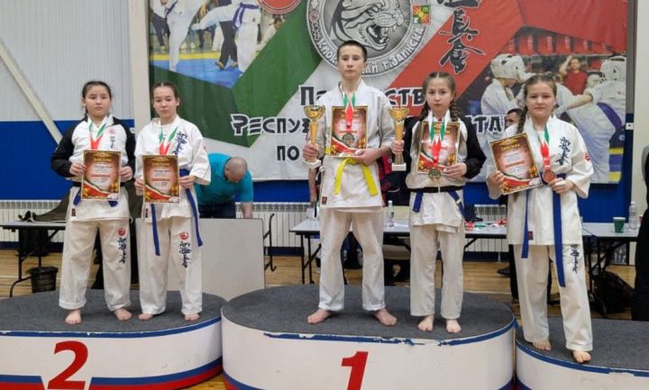 Спортсмены из Кукмора заняли призовые места в республиканских соревнованиях по киокусинкай каратэ