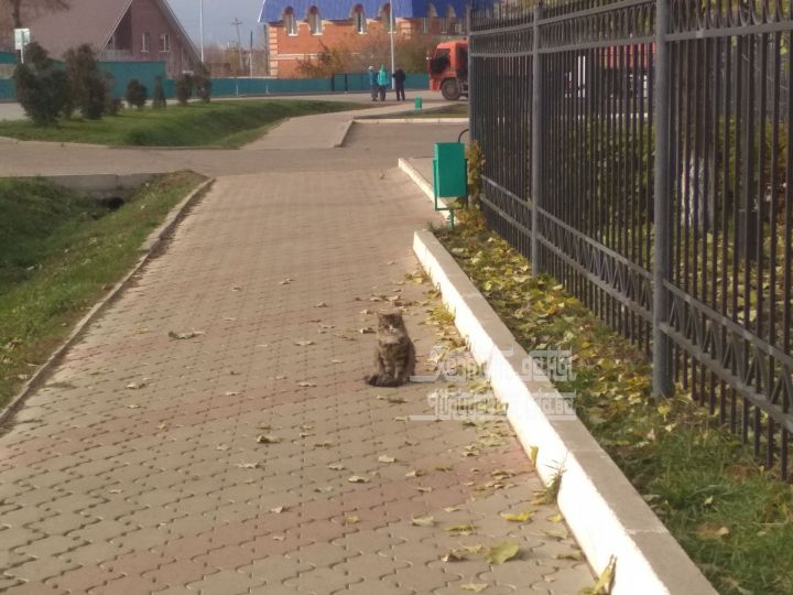 Прогноз погоды на 4 октября