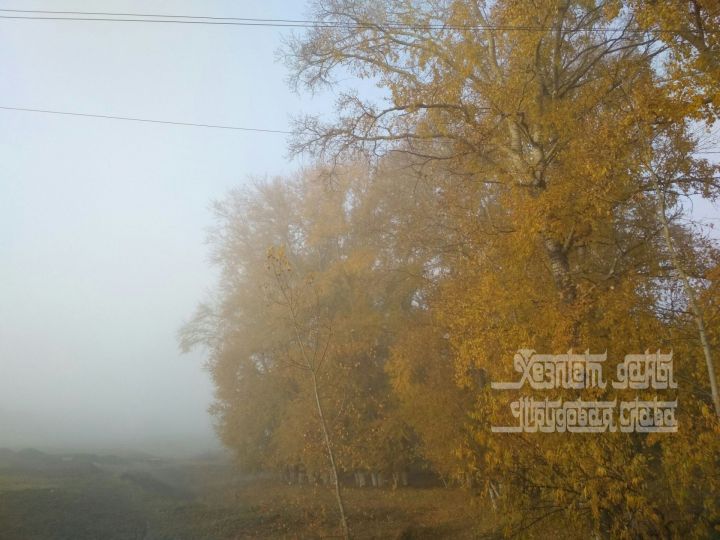 Какую погоду прогнозируют синоптики на 5 октября