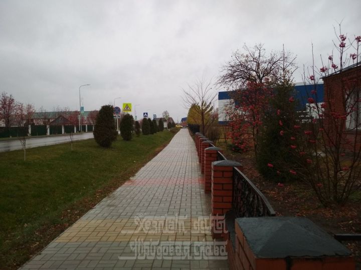 Прогноз погоды на 5 ноября