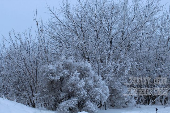 Прогноз погоды на 23 декабря