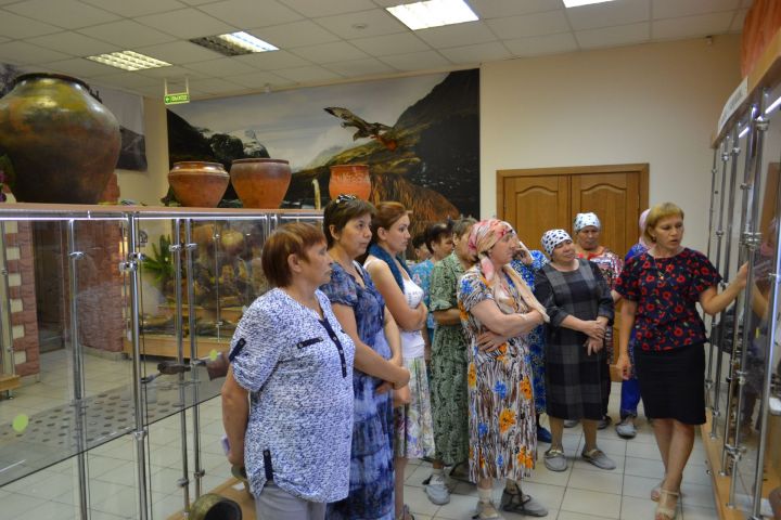 В Кукморском центре «Тылсым» активно реализуются технология «Социальный туризм»