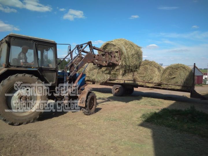 Кукмара аграр көллияте хуҗалыкларга печән өләшә