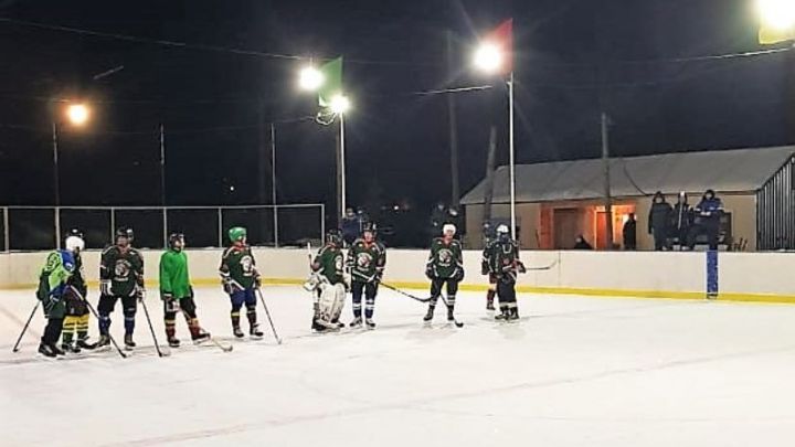 Команда Лубянского лесотехнического колледжа одержала победу в товарищеском матче по хоккею