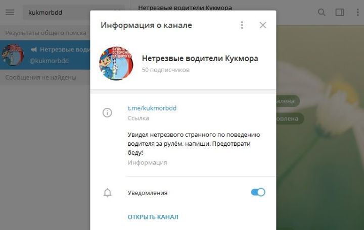 В Кукморе запустили Telegram-канал для борьбы с нетрезвыми водителями