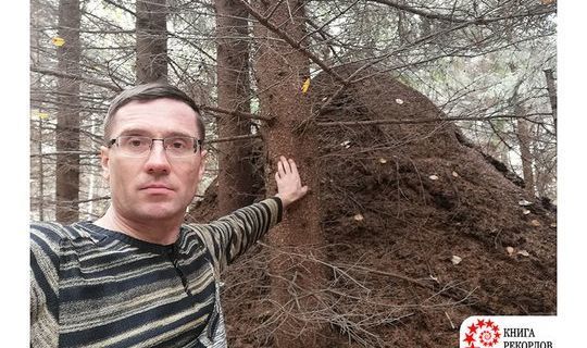 Самый большой муравейник, занесенный в Книгу рекордов России, находится в Кукморском районе