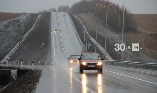 Для жителей Татарстана проведут экскурсию по автодороге «Нева» перед строительством трассы М12