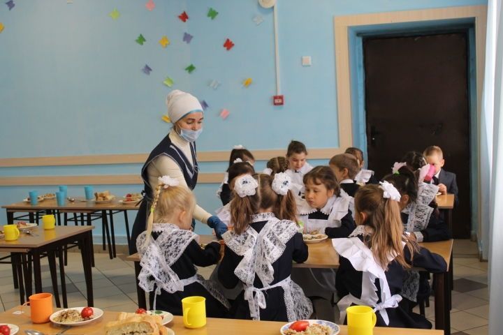 В Татарстане организуют горячую линию по вопросам горячего питания в школах