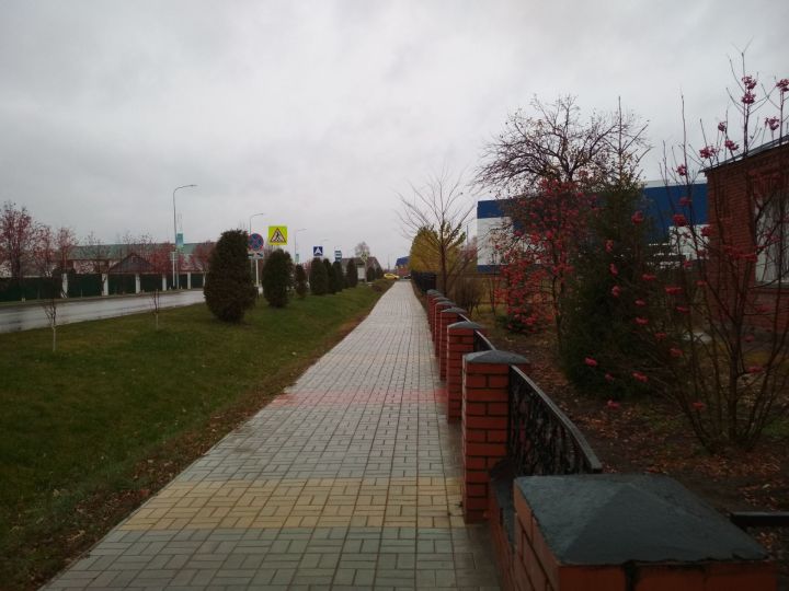 В Татарстане ожидаются мокрый снег и гололедица