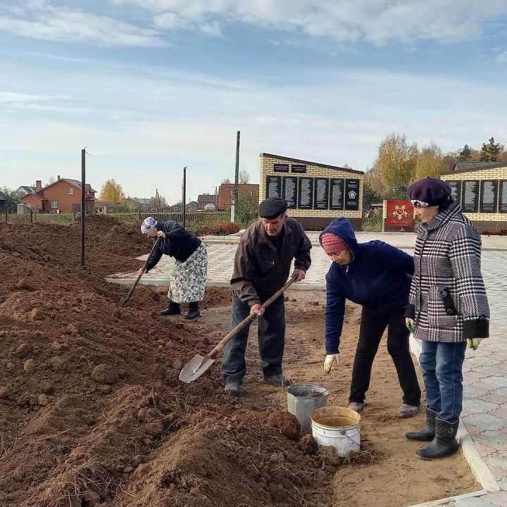 В Мамаширском сельском поселении средства грантов направили на благоустройство зон отдыха