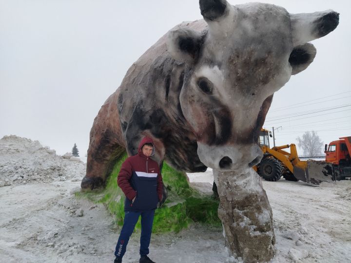 В Кукморе появилась одна из самых больших в республике фигур быка из снега