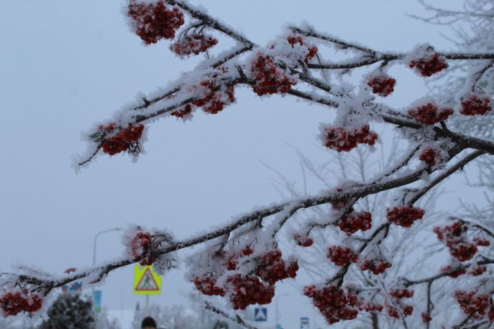 В Татарстане похолодает до -28 градусов