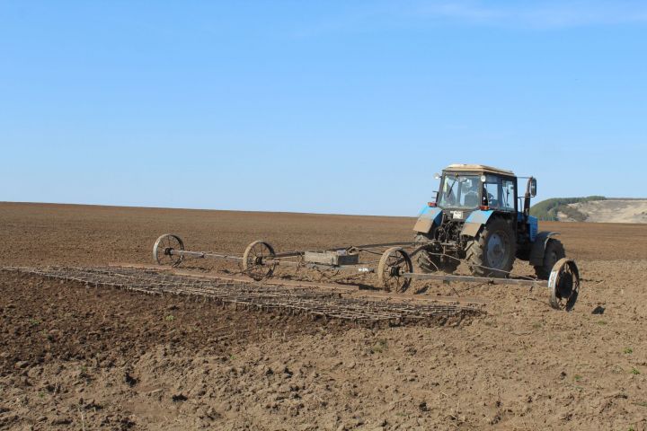 Нынче в хозяйстве «Асанбаш» планируют засеять 2660 гектаров зерновыми
