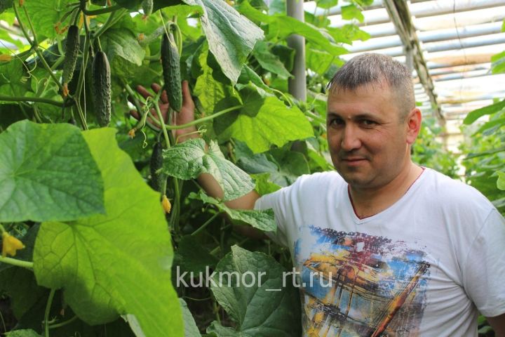 Ирек Саляхутдинов из Арпаяза расширил свое дело благодаря республиканскому гранту