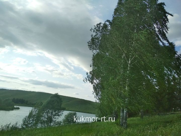 Синоптики Татарстана предупредили о сильном ветре