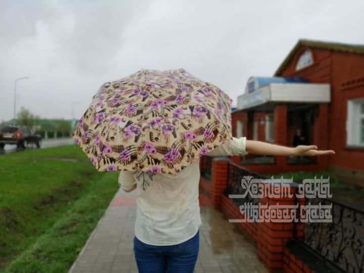 В Татарстане пройдет небольшой дождь