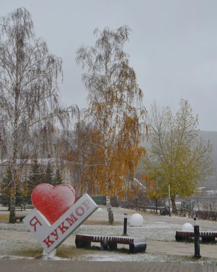 В Кукморском районе ожидаются мокрый снег и сильный ветер