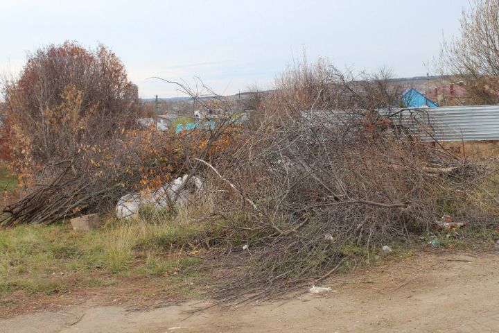 В Кукморе на улице Льва Толстого образовалась свалка