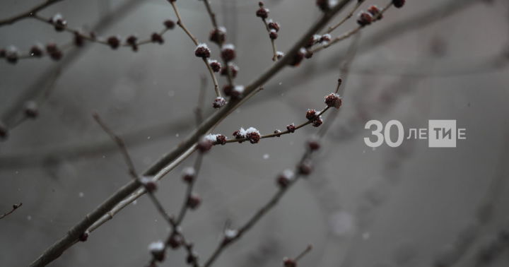 В Татарстане дожди и снег сохранятся до вторника