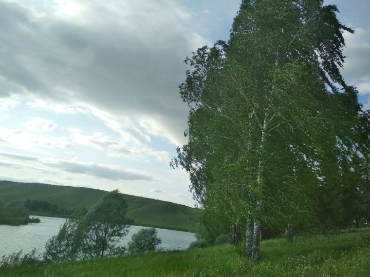 Татарстанцев предупредили о сильном ветре