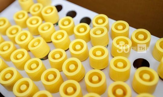 В Татарстане за сутки выявили 53 новых случая Covid-19
