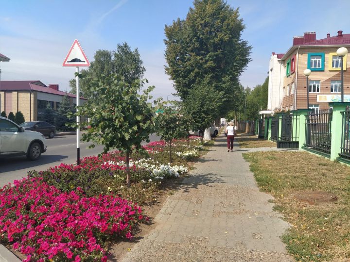 В Кукморском районе ожидается до +26 градусов