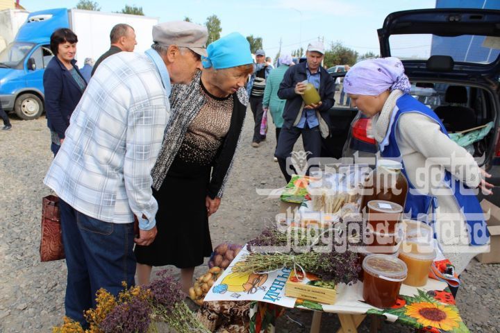 Иртәгә Кукмарада ярминкә узачак