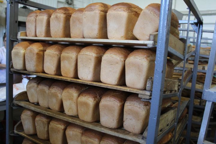 Татарстан будет обеспечен продукцией хлеба в достаточном объеме