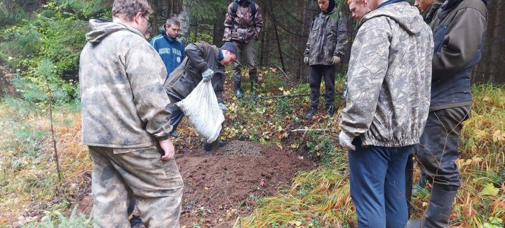 Татарстанда аучылык җир-суларында кыргый хайваннар өчен җимлекләр урнаштыру  буенча акция игълан ителде