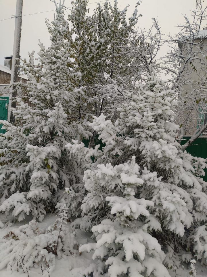В Кукморском районе ожидается туман, мокрый снег и ледяной дождь