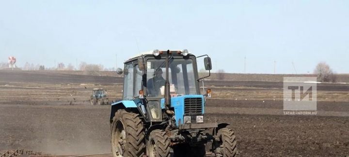 В АПК Татарстана не хватает механизаторов, агрономов, ветврачей