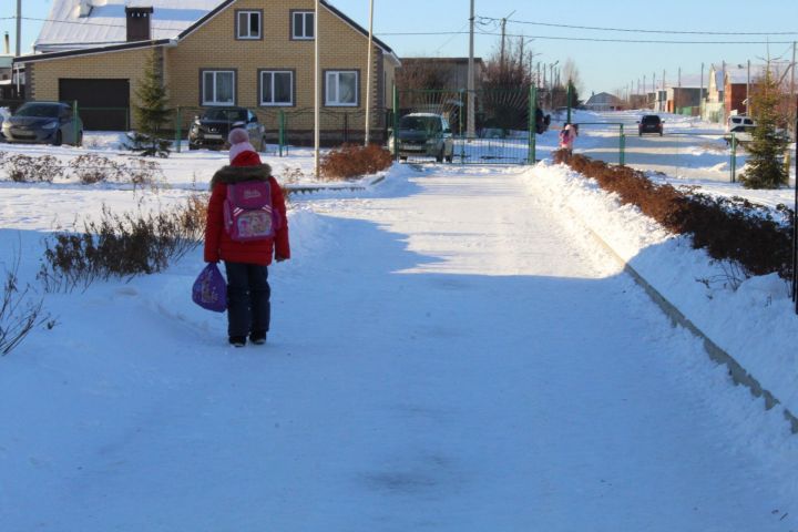 В Минобрнауки Татарстана напомнили об отмене школьных уроков в случае сильных морозов