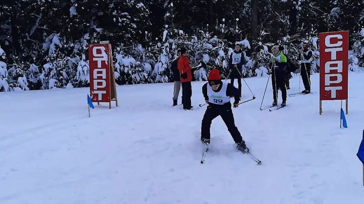 В Лубянском лесотехническом колледже прошли соревнования по лыжным гонкам