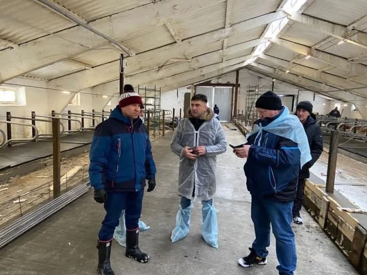 Кукмара районында Татарстанның Баш ветеринария табибы булып китте