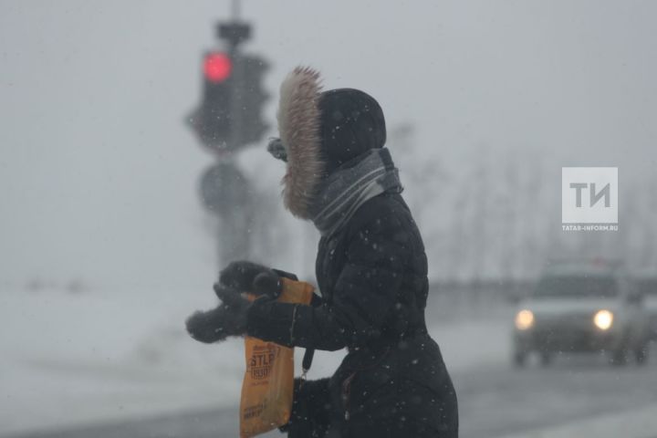 В Кукморском районе вновь ожидаются метель, сильный ветер и снежные заносы