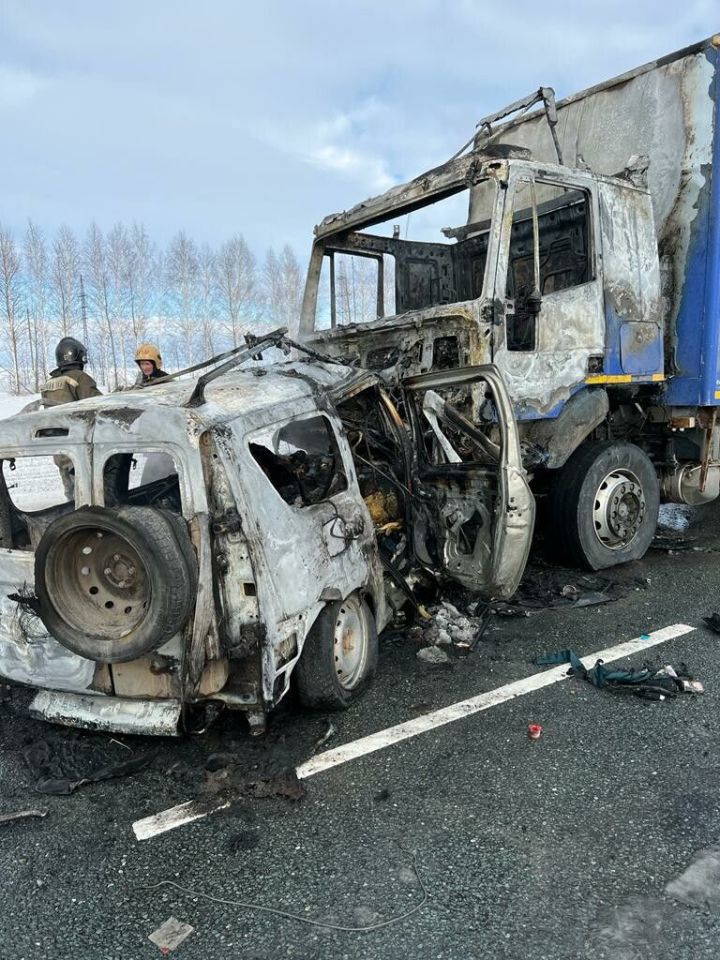 В Татарстане грузовик и легковушка сгорели после столкновения, погибли шесть человек