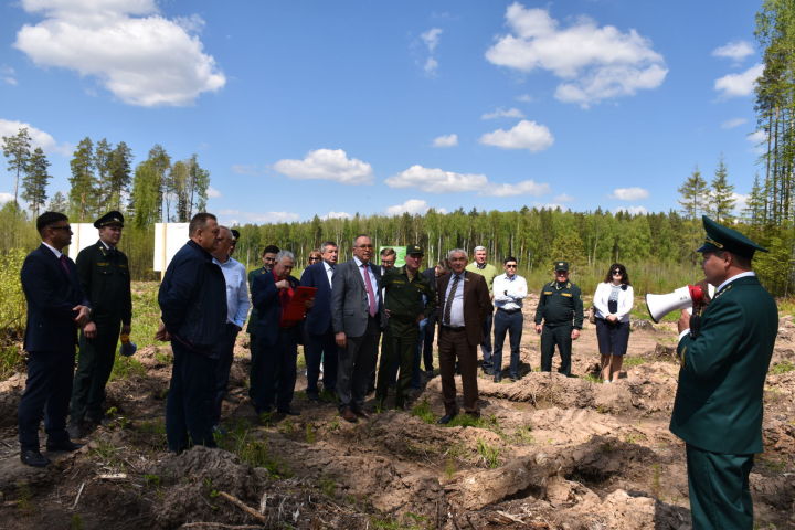 В Кукморском районе на выездном заседании обсудили вопрос сохранения и приумножения лесных ресурсов