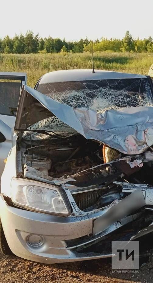 В Татарстане в столкновении двух авто пострадало пять человек