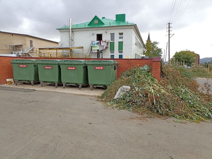 Жители Кукморского района: Куда же девать растительный мусор?