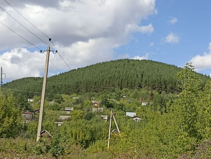 В Кукморском товариществе «Родничок» многие дачные участки находятся  в заброшенном состоянии